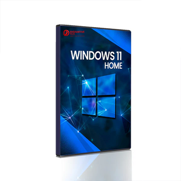 Windows 11 Pro License Key - 1PC Global
